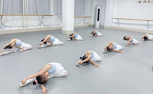 舞蹈培训系统地面升级方案【舞蹈地胶】