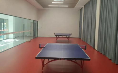 选好乒乓球运动地板，避免“翻车”现象的出现