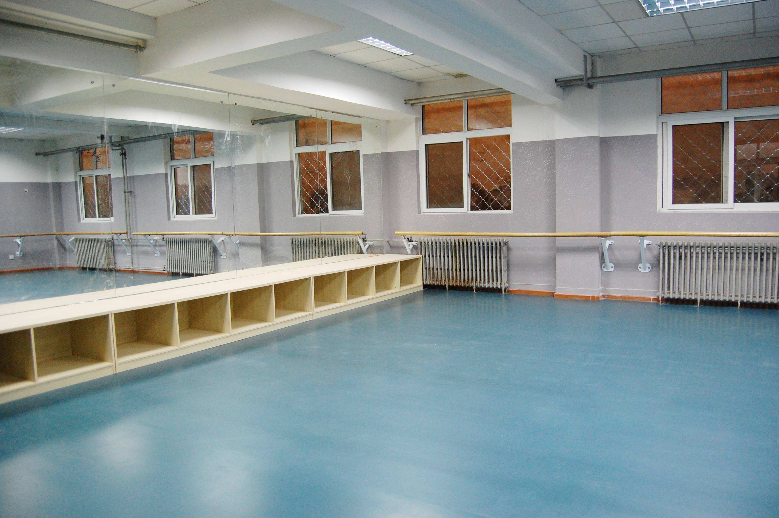 舞蹈房PVC塑胶地板