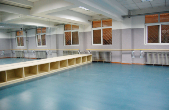舞蹈学校塑胶地板